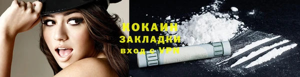 a pvp Бородино