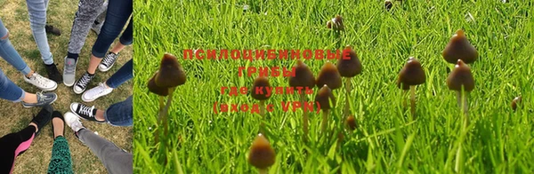 a pvp Бородино