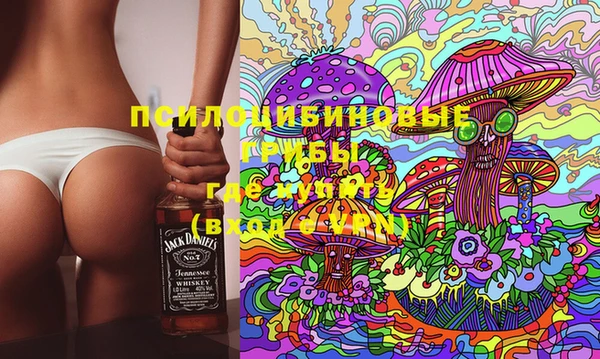 a pvp Бородино