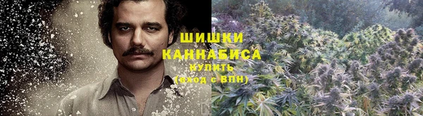 амф Бронницы