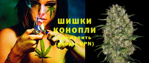 амф Бронницы