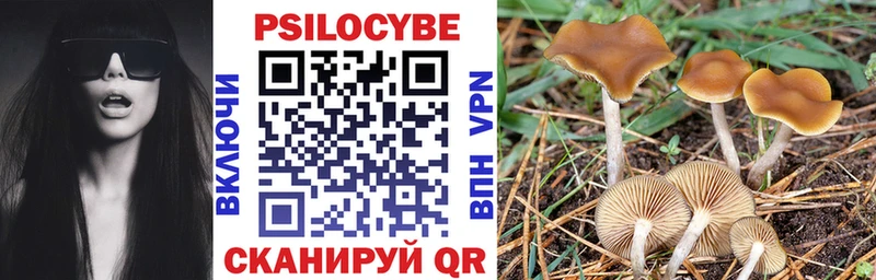 Галлюциногенные грибы Psilocybe  где можно купить наркотик  Сочи 